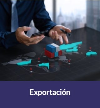 cajas de carton para exportacion